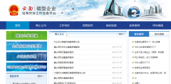 云南省微型企业创业扶持申请书
