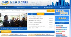 云南省微型企业培育工程财政资金（直接补助）