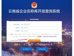 云南省昆明市企业核名查询系统操作使用流程